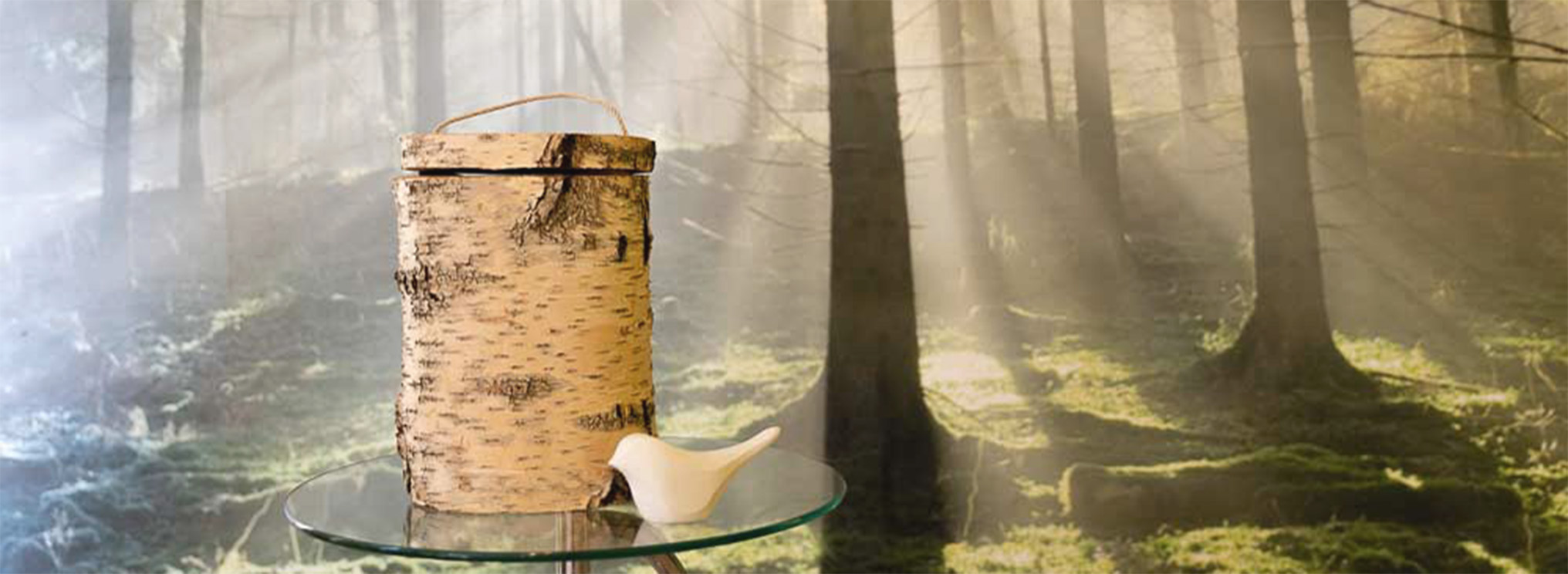 Eine Urne mit einer natürlichen Birkenrindenoptik steht auf einem Glastisch, im Hintergrund ein stimmungsvoller Wald mit Sonnenstrahlen.